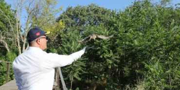 Vali Toraman sağlığına kavuşan kuşları doğal ortamına saldı