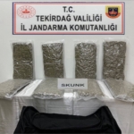 Tekirdağ’da otoyol gişelerinde 12 kilogram skunk ele geçirildi