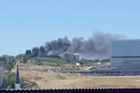 İzmit’te ağaçlık alan yangını: Dumanlar birçok yerden görüldü