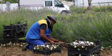 Silivri’de yaz aylarına hazırlıklar devam ediyor