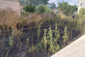 Muratlı’da boş arsada yangın paniği