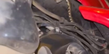 Motosikletin içine giren yılanı tek hamlede çıkardı