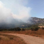 Bilecik’te başlayan orman yangını hızla büyüyor