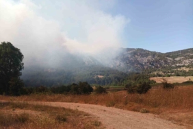 Bilecik’te başlayan orman yangını hızla büyüyor