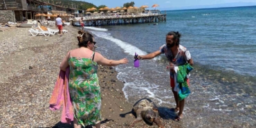 Assos sahilinde ölü caretta caretta bulundu