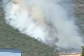 Yenişehirde orman yangını: Havadan ve karadan müdahale ediliyor