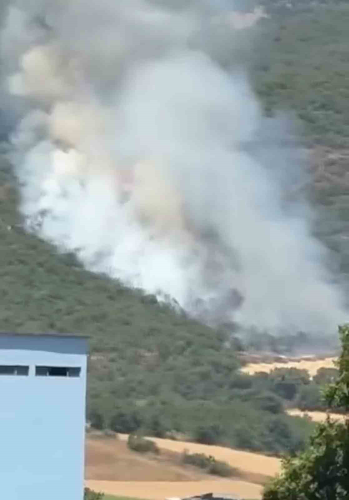 Yenişehirde orman yangını: Havadan ve karadan müdahale ediliyor