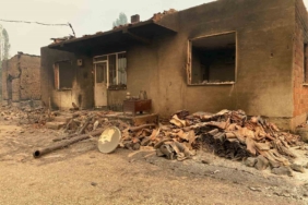 Bilecik’teki orman yangınında bir köy kül oldu