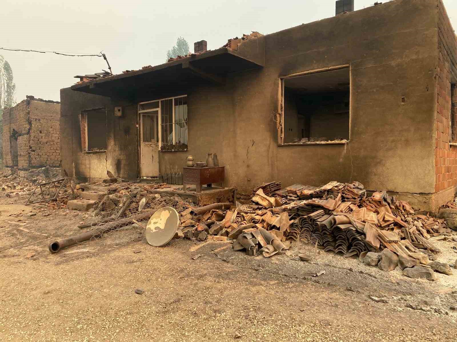 Bilecik’teki orman yangınında bir köy kül oldu