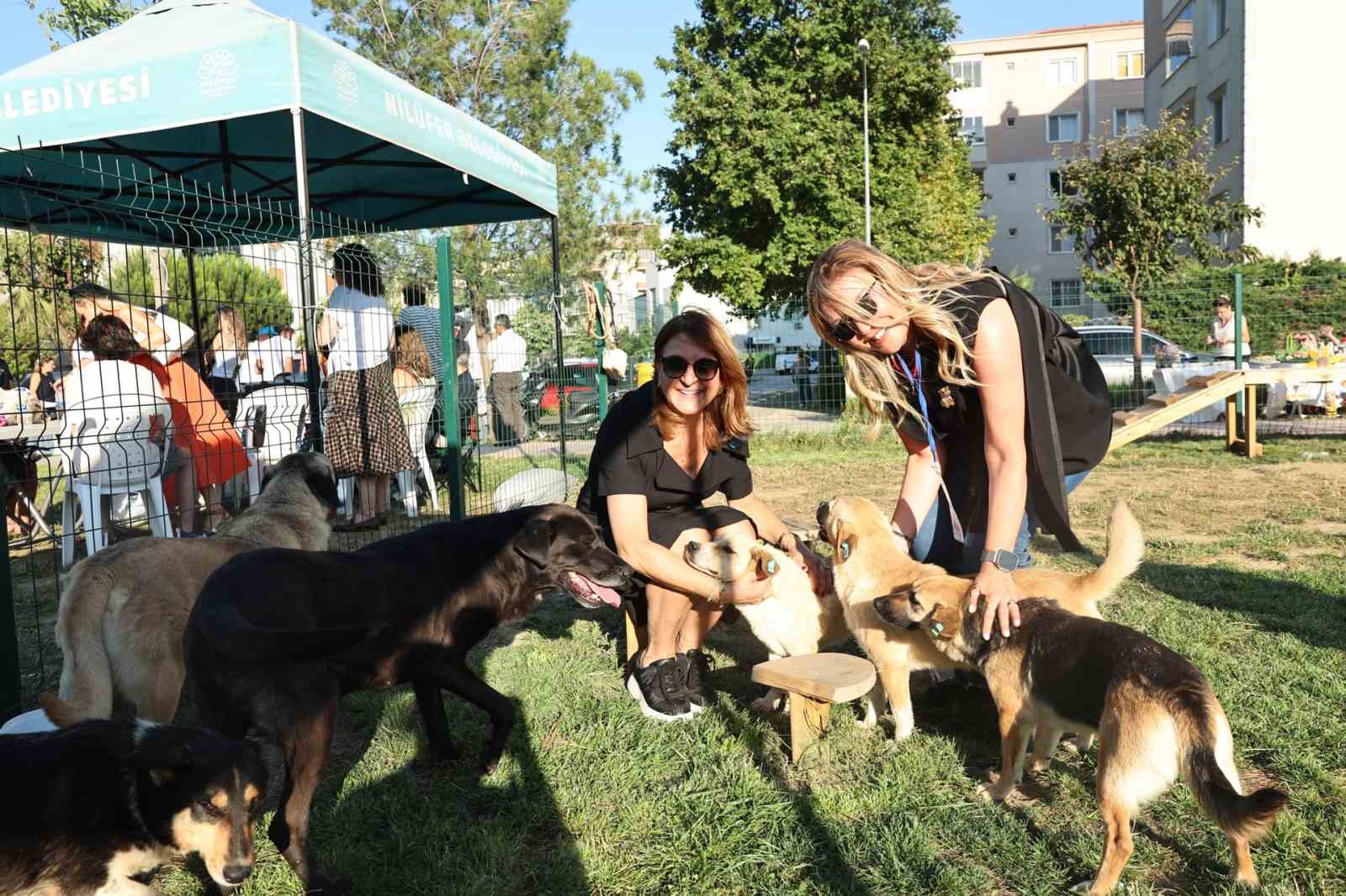 Bursa’da Sahiplendirme Şenliği