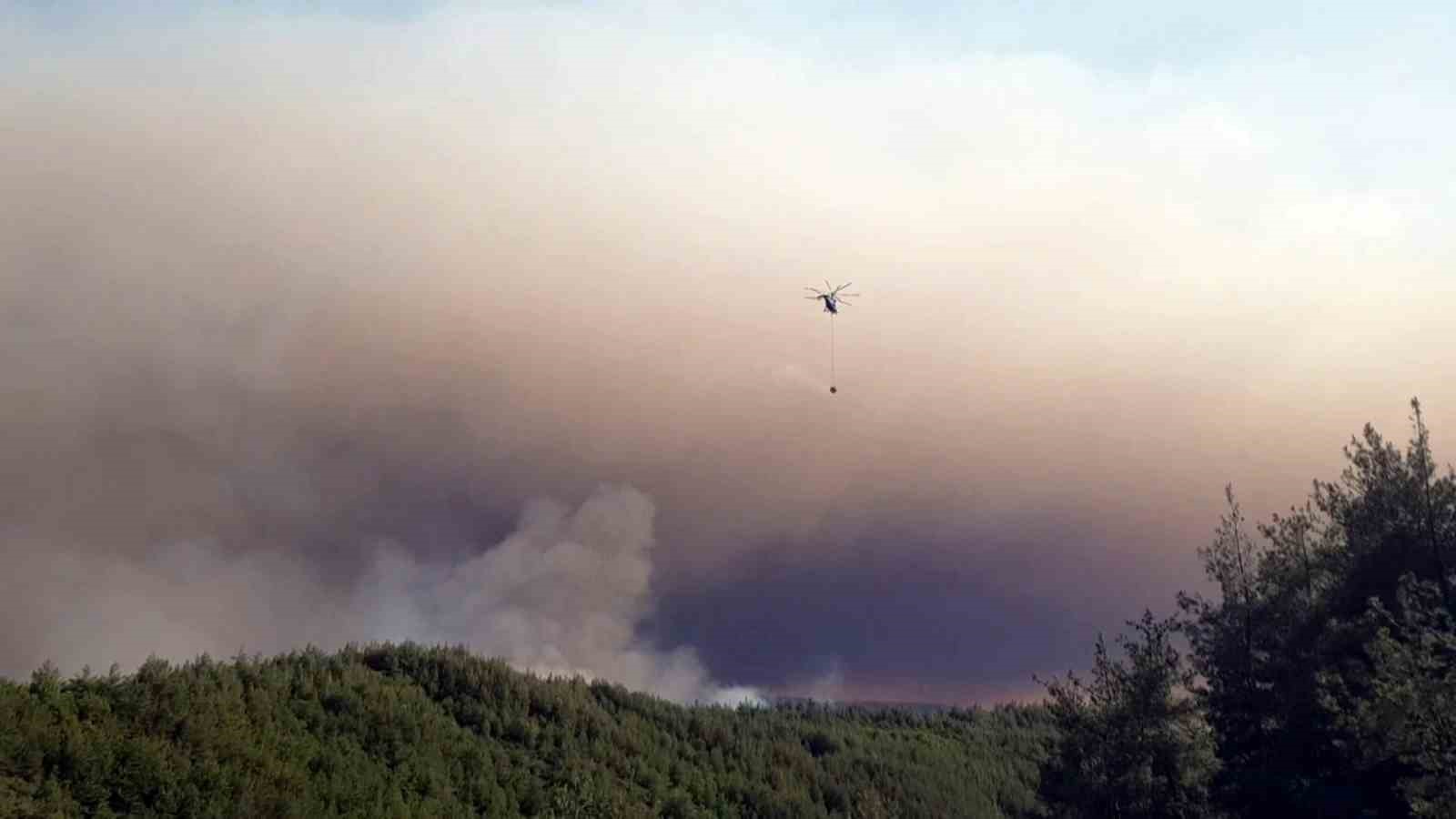 Sakarya’da ormanlık alanda çıkan yangına havadan ve karadan müdahale sürüyor