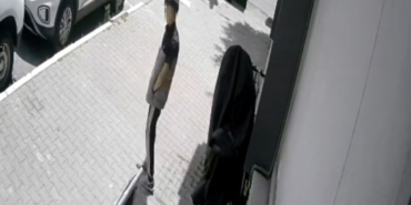 Sultangazi’de bisikleti böyle çaldı, hırsız rahat tavırlarıyla "pes" dedirtti