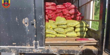 Sakarya’da midye vurgunu: Resmi evraksız 5 ton midyeye el kondu