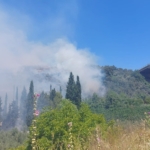 Bursa’da çam ormanı yanıyor