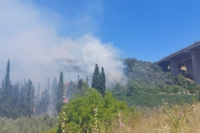 Bursa’da çam ormanı yanıyor
