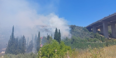 Bursa’da çam ormanı yanıyor