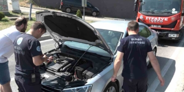 Yavru kedi, trafiği kilitledi