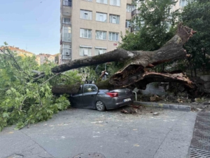 Beşiktaş’ta devrilen ağaç 3 araca hasar verdi