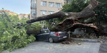 Beşiktaş’ta devrilen ağaç 3 araca hasar verdi