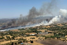 Balıkesir Pamukçu’da arazi yangını