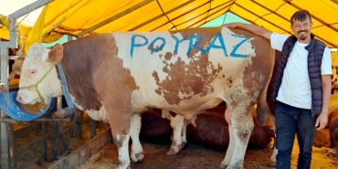 Pazarın ağır abisi "Poyraz" ilk günden satıldı