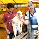 Bahçelievler kurban pazarı hem alıcıların hem de satıcıların yüzünü güldürdü