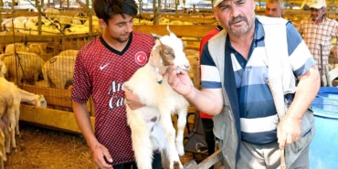 Bahçelievler kurban pazarı hem alıcıların hem de satıcıların yüzünü güldürdü