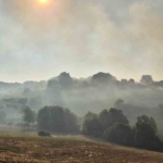 Susurluk Babaköy’de arazi yangını kontrol altına alındı
