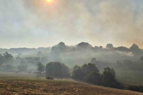 Susurluk Babaköy’de arazi yangını kontrol altına alındı