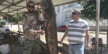 İpsala’da ağlara 80 kilo ağırlığında yayın balığı takıldı