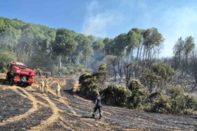 Şarköy’de tarlada çıkan yangın makilik alana sıçradı