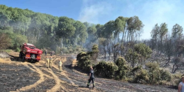 Şarköy’de tarlada çıkan yangın makilik alana sıçradı