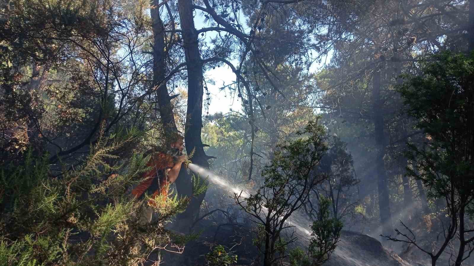 Lapseki’de ormanlık alanda çıkan yangın kontrol altına alındı