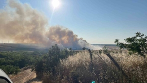 Silivri Belediye Başkanı Balcıoğlu: "Sıcak havaların artmasıyla yangın riski her zaman artıyor"