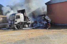 Park halindeki kamyonda çıkan yangın otluk alana sıçradı