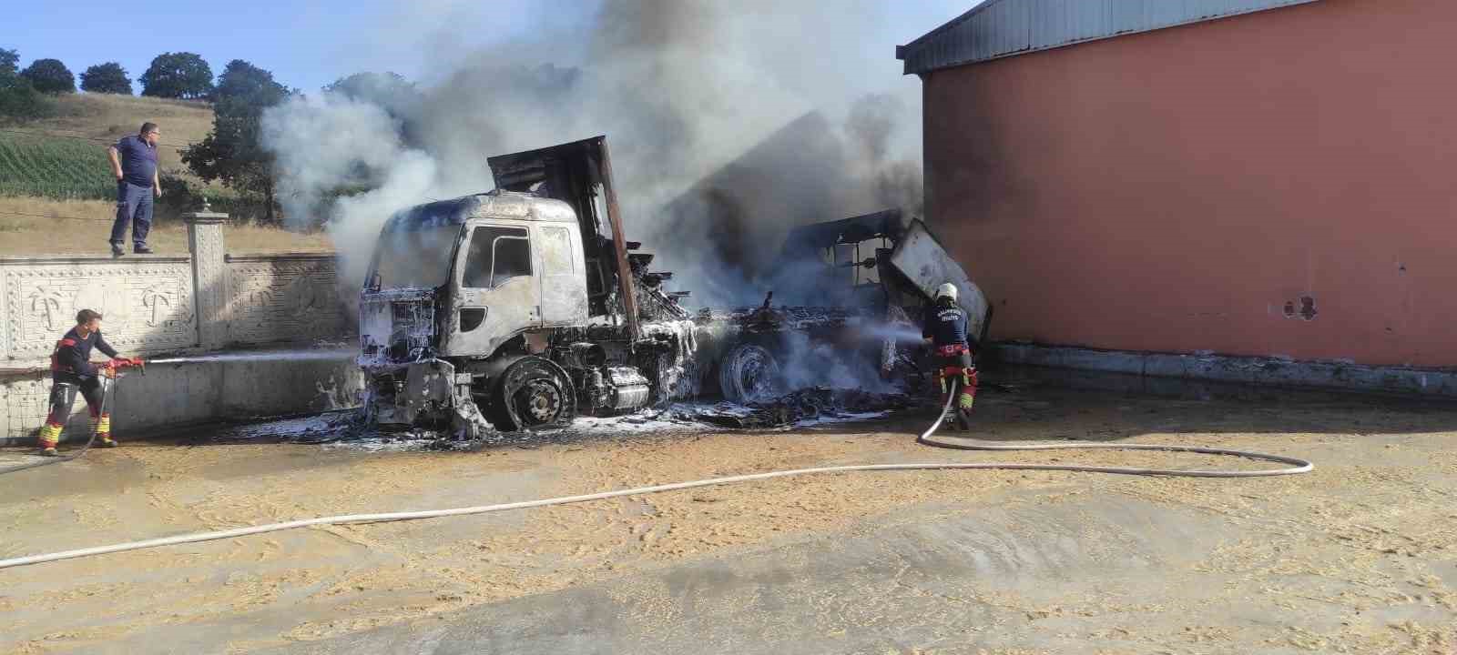 Park halindeki kamyonda çıkan yangın otluk alana sıçradı