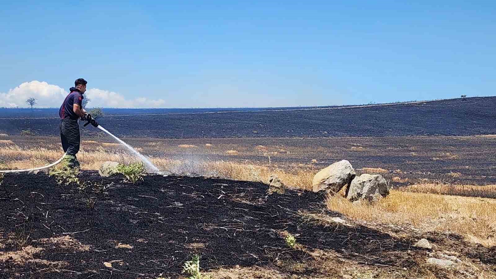 10 bin dönümlük arazi alevlere teslim oldu