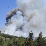 Balıkesir’deki orman yangınına müdahale ediliyor