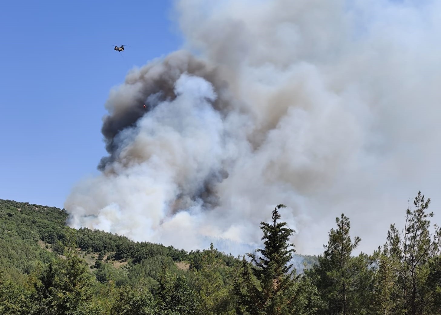 Balıkesir’deki orman yangınına müdahale ediliyor