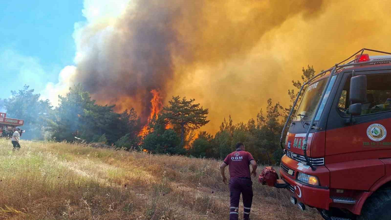 Sakarya Valiliği’nde orman yangınına ilişkin açıklama