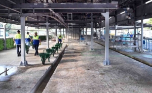 Bahçelievler’de kurban kesimi modern tesiste gerçekleşti