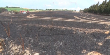 Silivri’de sigara izmariti 30 dönüm buğdayı küle çevirdi