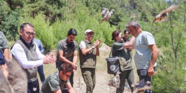 300 kınalı keklik doğaya salındı