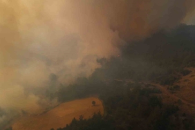 Bilecik yangını sürüyor