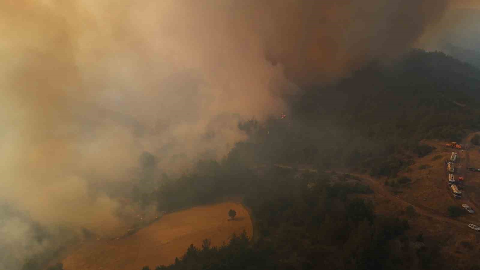 Bilecik yangını sürüyor