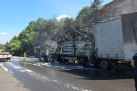Motor yağı yüklü tır alev alev yandı, ormana sıçrayan yangın güçlükle söndürüldü