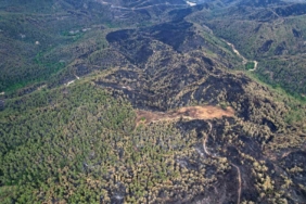 Yeşilin tonlarının yanarak siyaha büründüğü alanlar havadan da görüntülendi