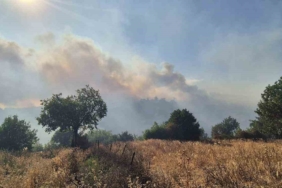 Kepsut’taki orman yangını köyü tehdit ediyor