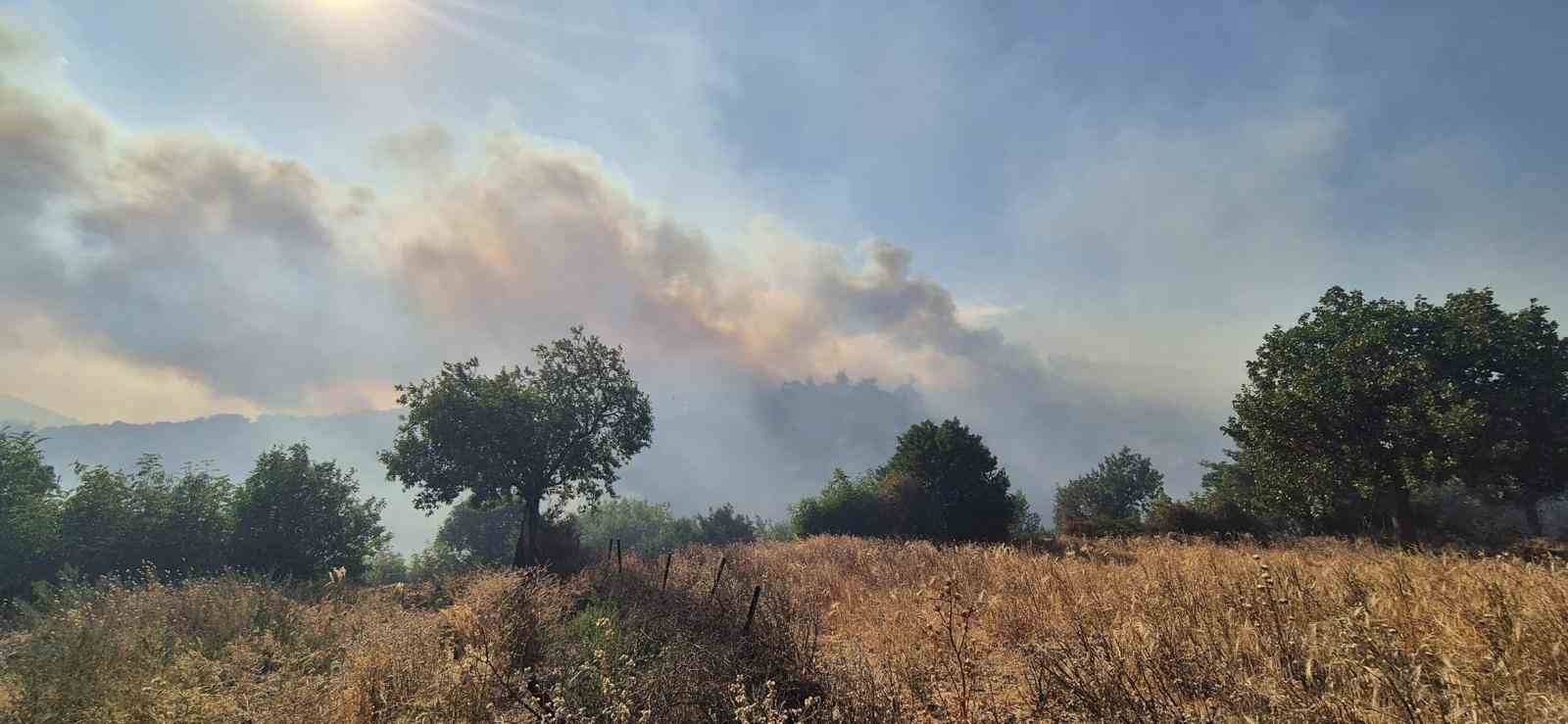 Kepsut’taki orman yangını köyü tehdit ediyor