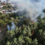 Pendik’te ormanlık alanda çıkan yangın söndürüldü